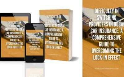 Ebook: Difficulty in Switching Providers