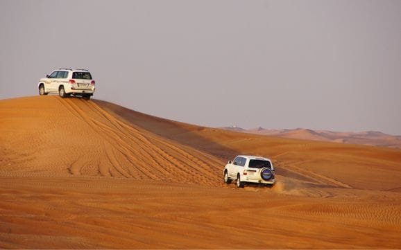 Step #6: Examine the Fine Print in Your Dubai Car Insurance Policy