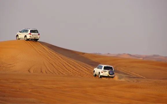 Step #6 Examine the Fine Print in Your Dubai Car Insurance Policy