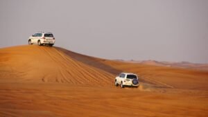 Car Insurance Considerations for International Students and Temporary Residents in Dubai