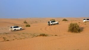 How Telematics is Transforming Car Insurance in Dubai